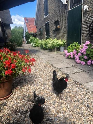 B&B De Beijersche Stee, Logies Aan De Waterkant Stolwijk Exterior foto