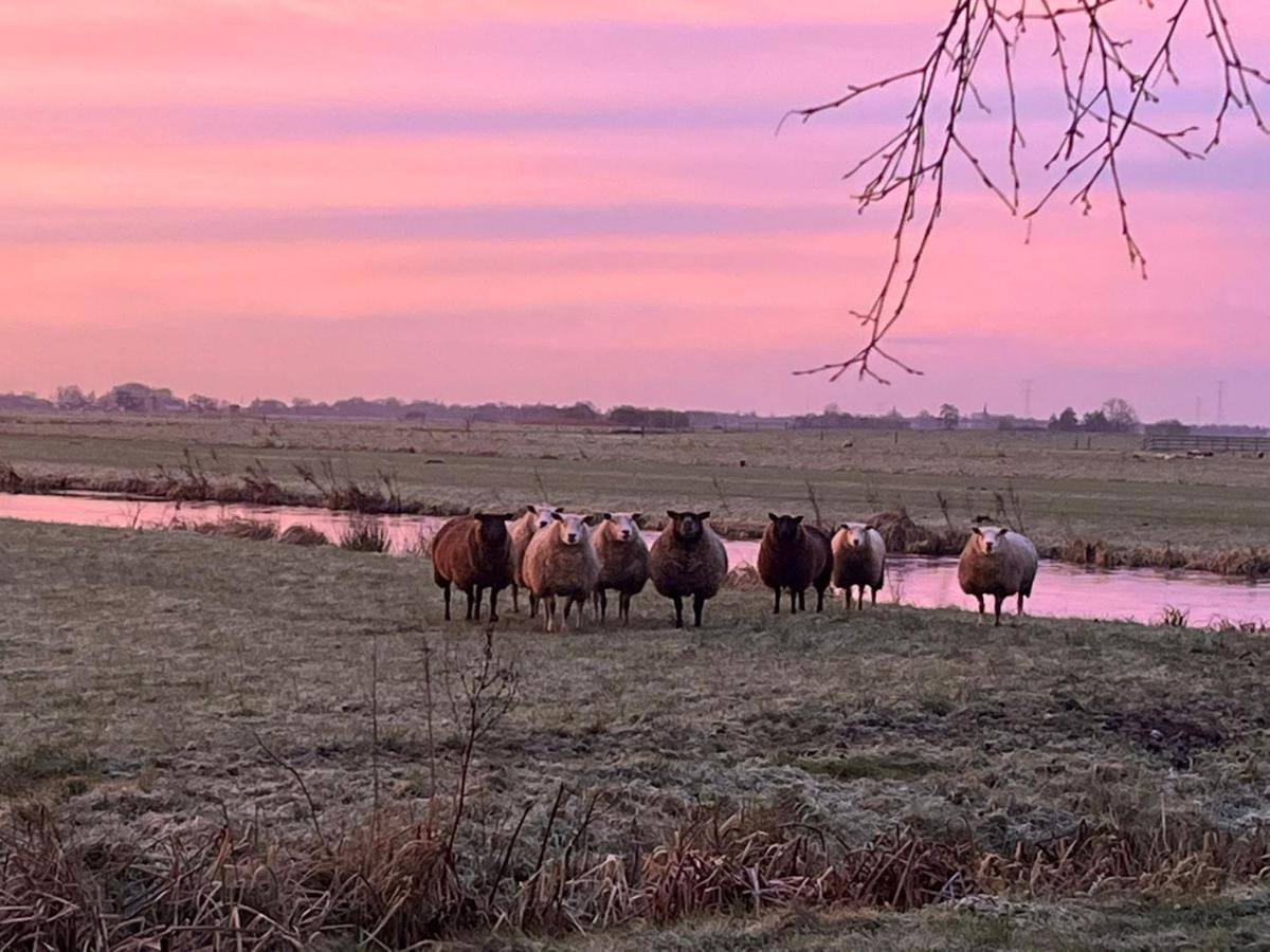 B&B De Beijersche Stee, Logies Aan De Waterkant Stolwijk Exterior foto